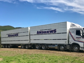 Rockley Angus andrews transport